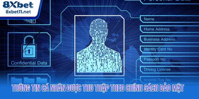 Chính Sách Bảo Mật 8XBET - Cam Kết Quyền Lợi Bet Thủ 2 Thông tin cá nhân thành viên được thu thập theo chính sách bảo mật